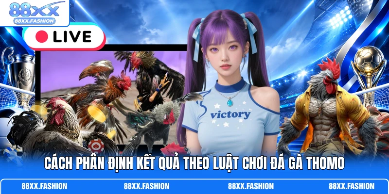 Luật Chơi Đá Gà Thomo – Bật Mí Quy Định Từ A-Z Cho Cược Thủ 3 Cách phân định kết quả theo luật chơi đá gà Thomo