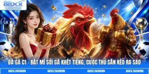 Đá Gà C1