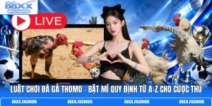 Luật chơi đá gà Thomo