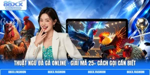 Thuật Ngữ Đá Gà Online